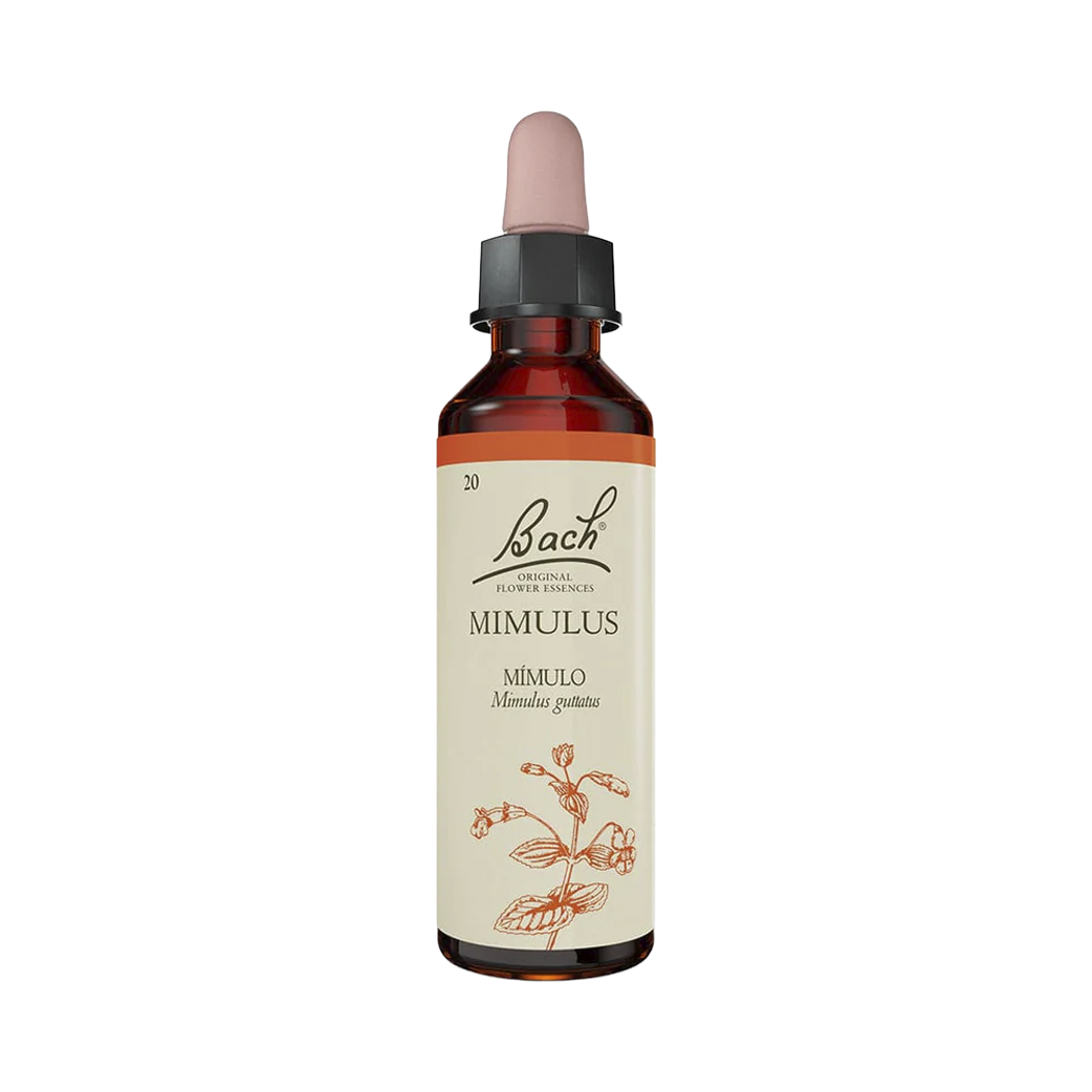 Mimulus (20 ml)