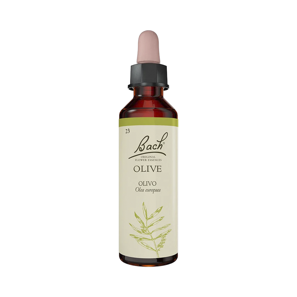 Olive (20 ml)