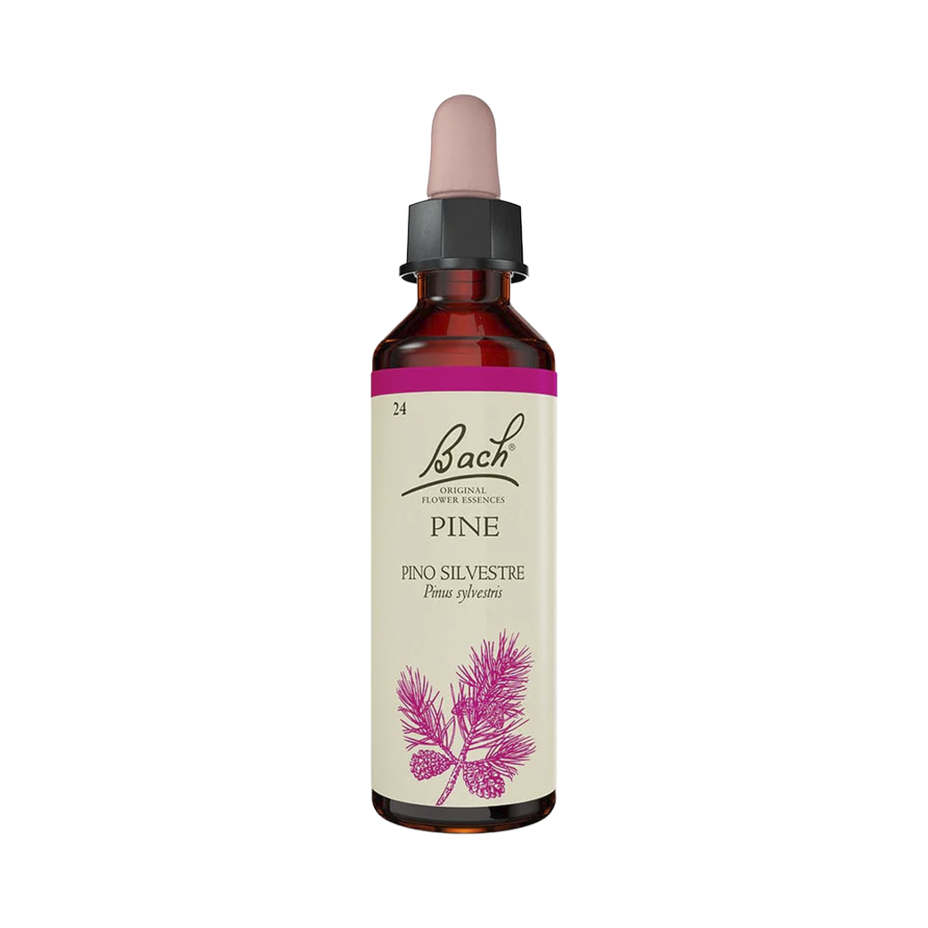 Pine (20 ml)