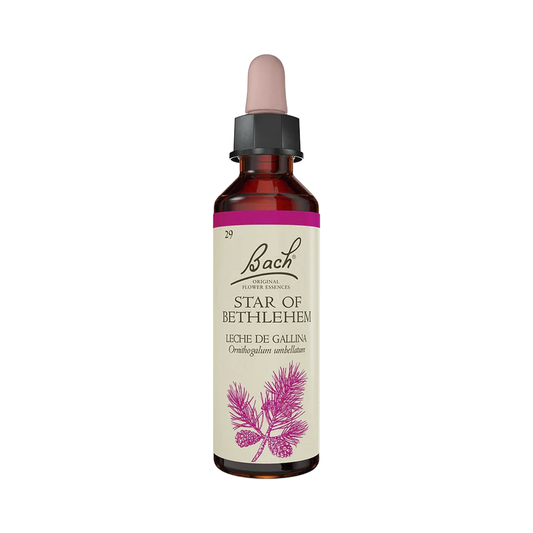 Star of Bethlehem (20 ml)