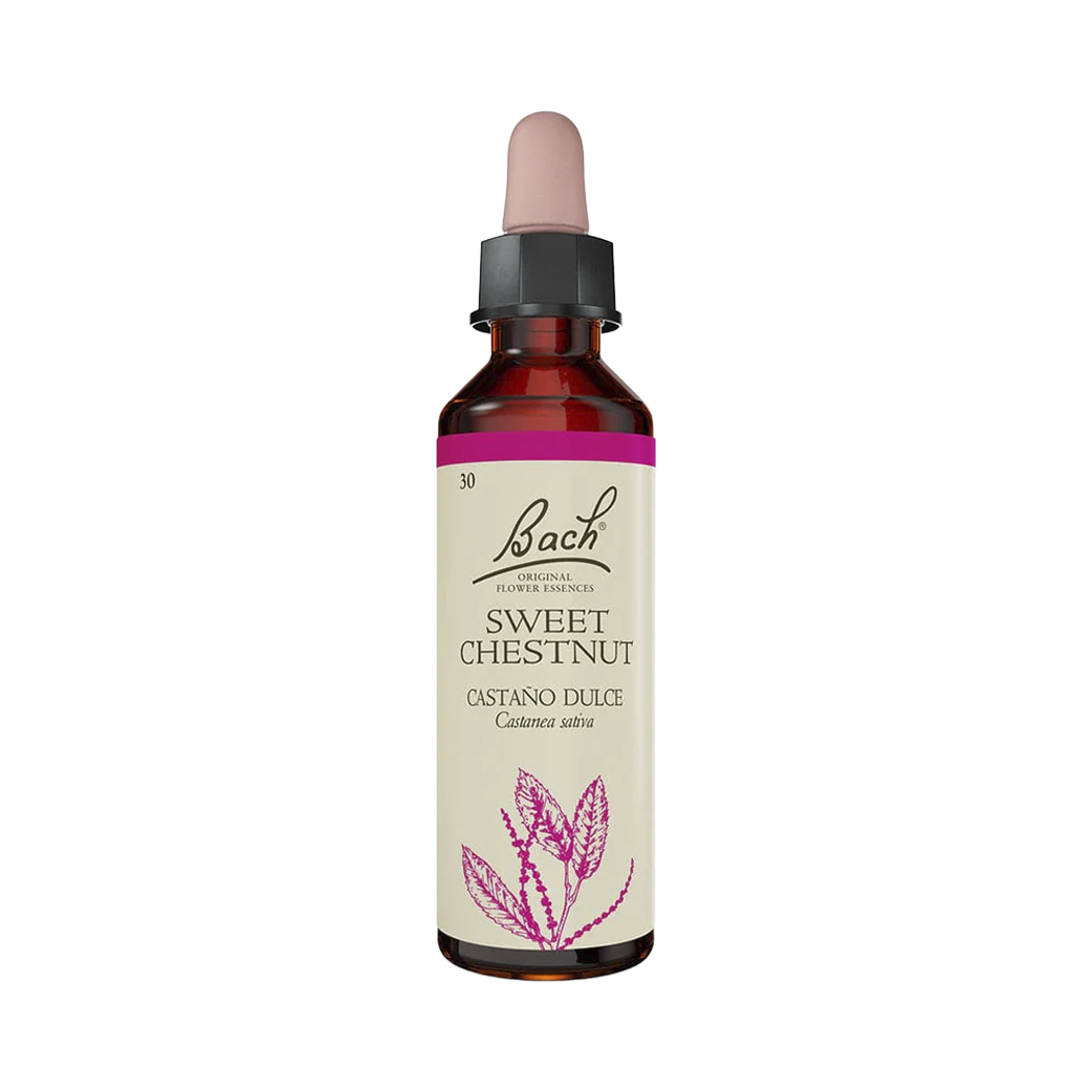 Sweet Chestnut (20 ml)