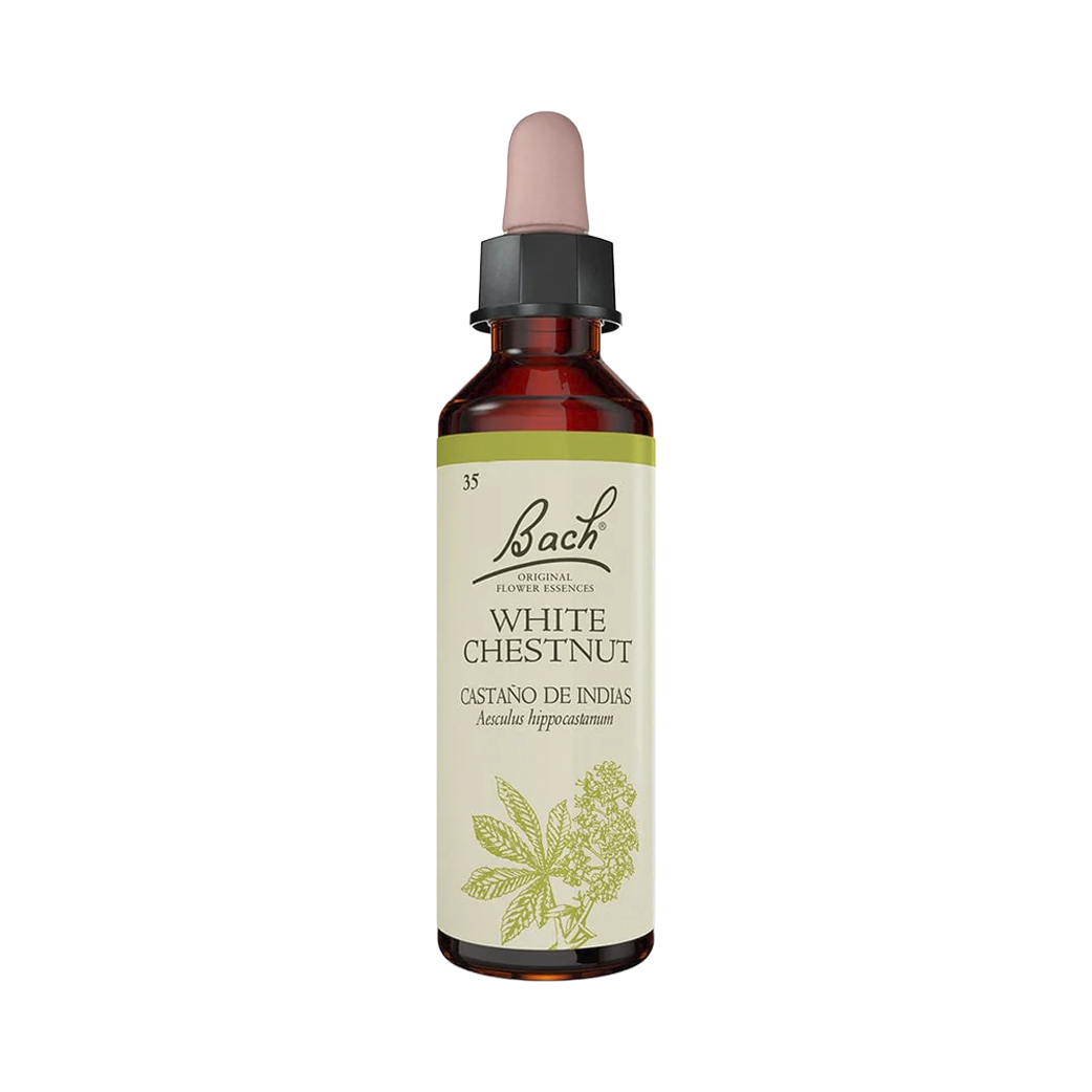 White Chestnut (20 ml)