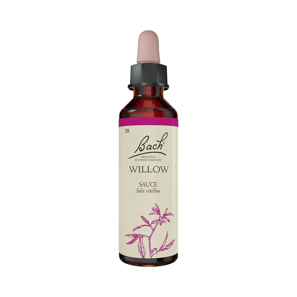 Willow (20 ml)
